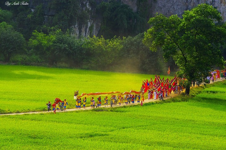 The procession ritual of Thai Vi Temple Festival - ảnh 2